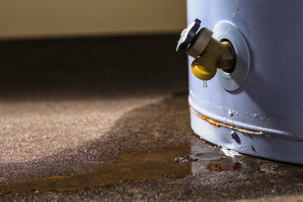 Best Local water damage restoration  in Loretto, TN