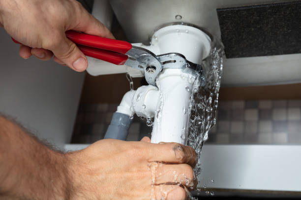 Best Professional water damage repair  in Loretto, TN