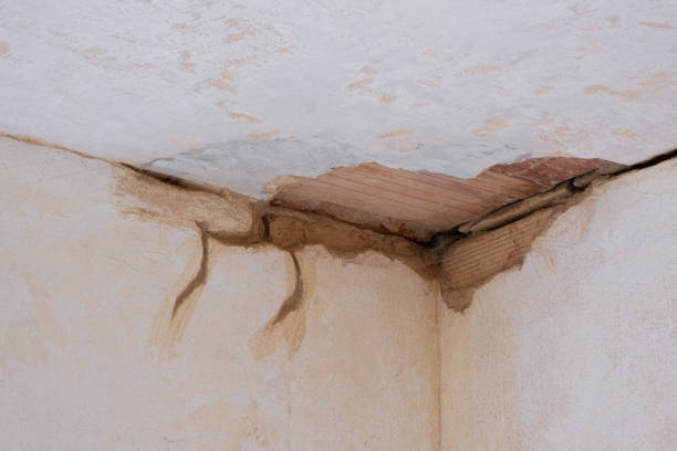 Best Ceiling water damage repair  in Loretto, TN