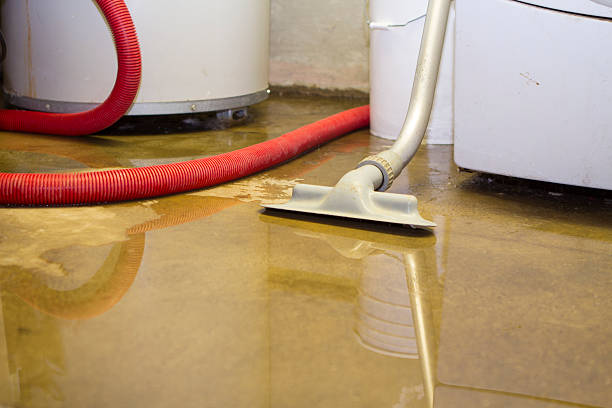 Best Residential water damage restoration  in Loretto, TN