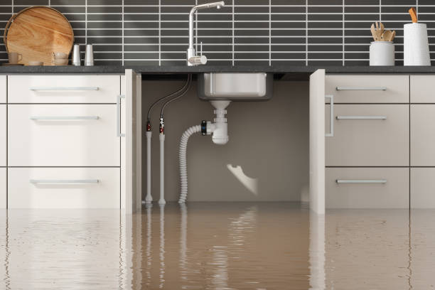 Best Mold removal after water damage  in Loretto, TN