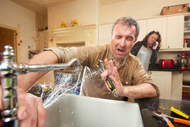 Best Water damage restoration near me  in Loretto, TN